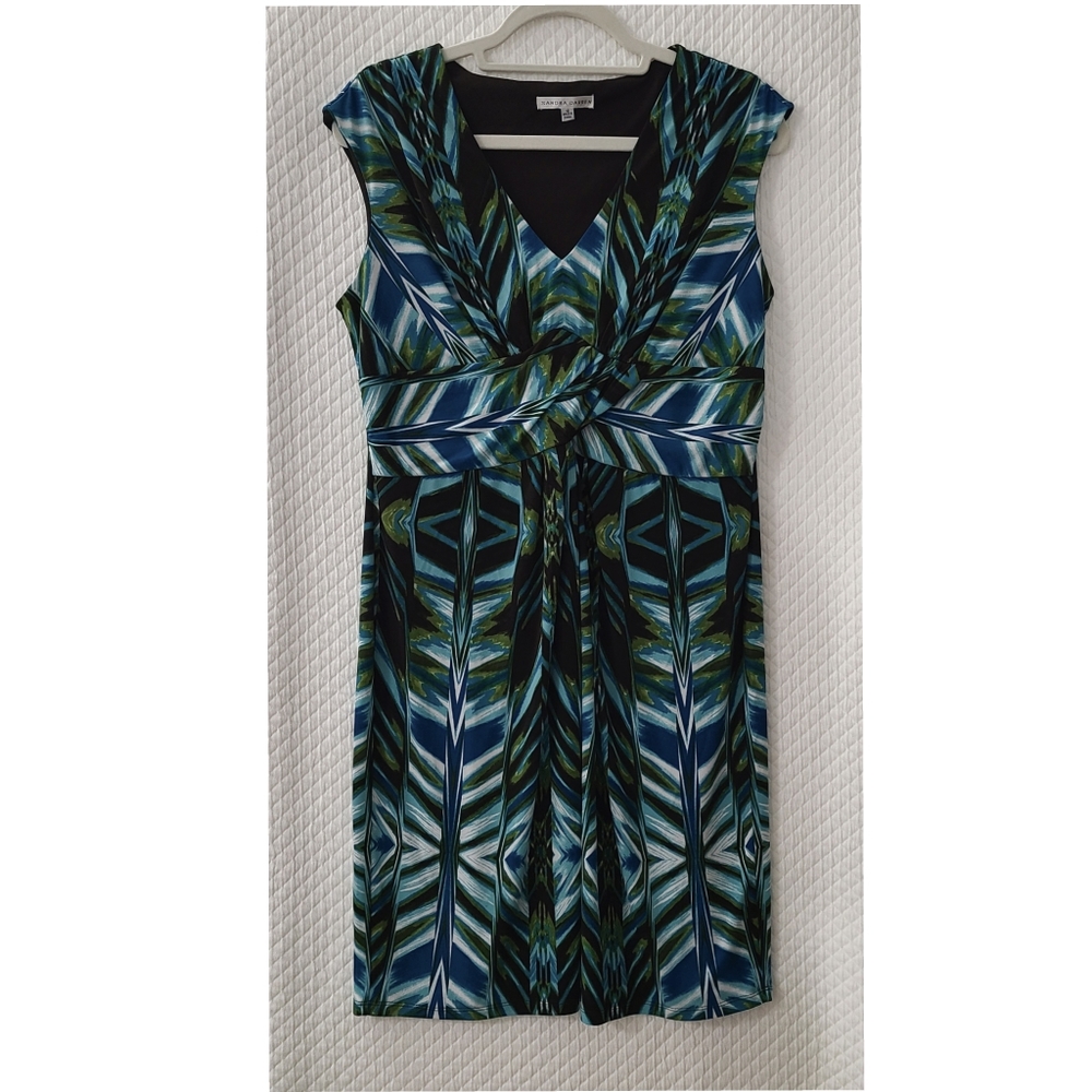 Sandra Darren multi color dress